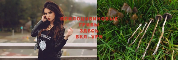 прущие крисы Балахна